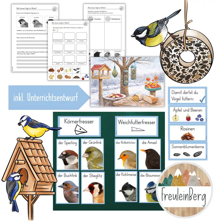 Bild in der Beschreibung des Unterrichtsmaterials 6. Stunde: Was fressen Vögel im Winter? von FreuleinBerg #1
