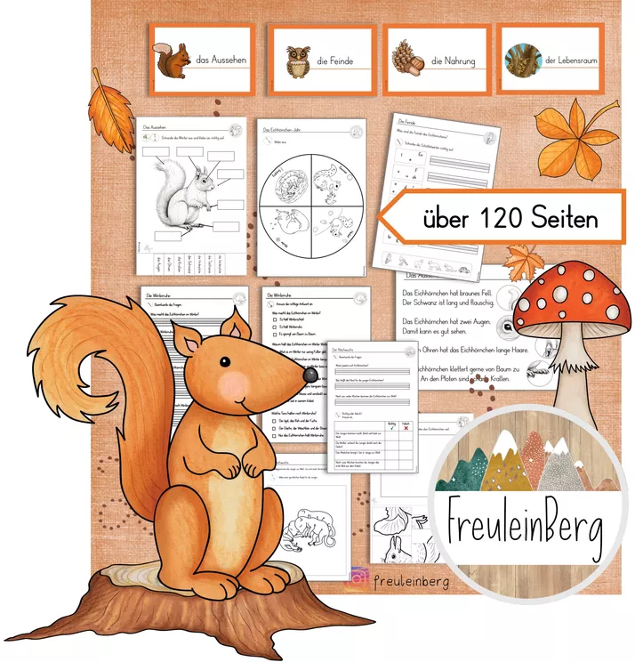 Bild in der Beschreibung des Unterrichtsmaterials Differenzierte Arbeitsblätter - Eichhörnchen (über 120 Seiten) von FreuleinBerg #1