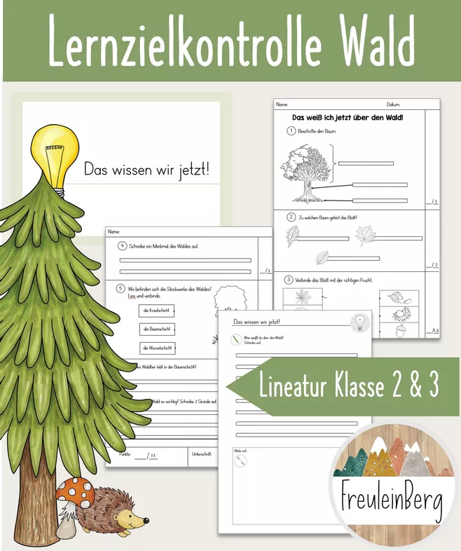 Bild in der Beschreibung des Unterrichtsmaterials Lernzielkontrolle: Wald von FreuleinBerg #1