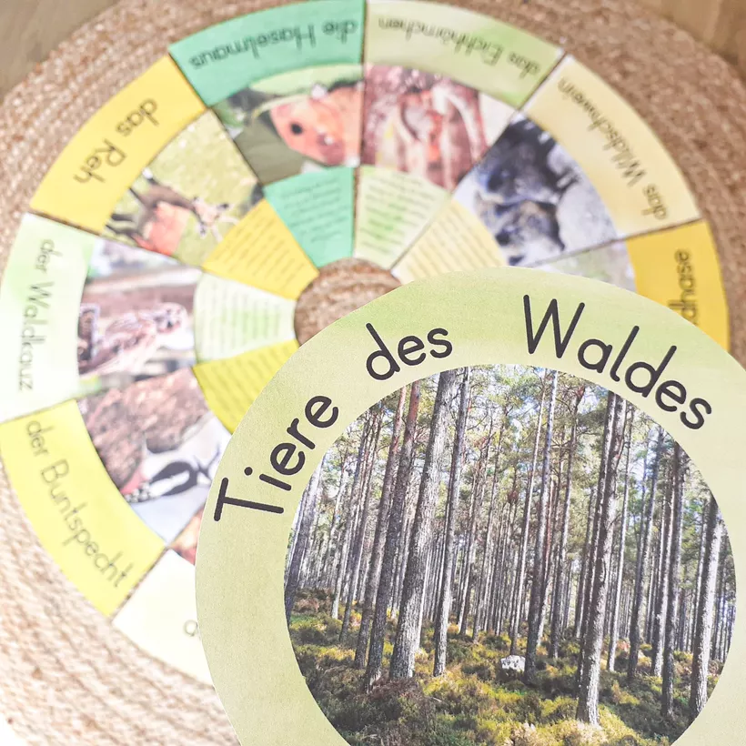 Bild in der Beschreibung des Unterrichtsmaterials Tiere des Waldes - Legekreis von FreuleinBerg #1