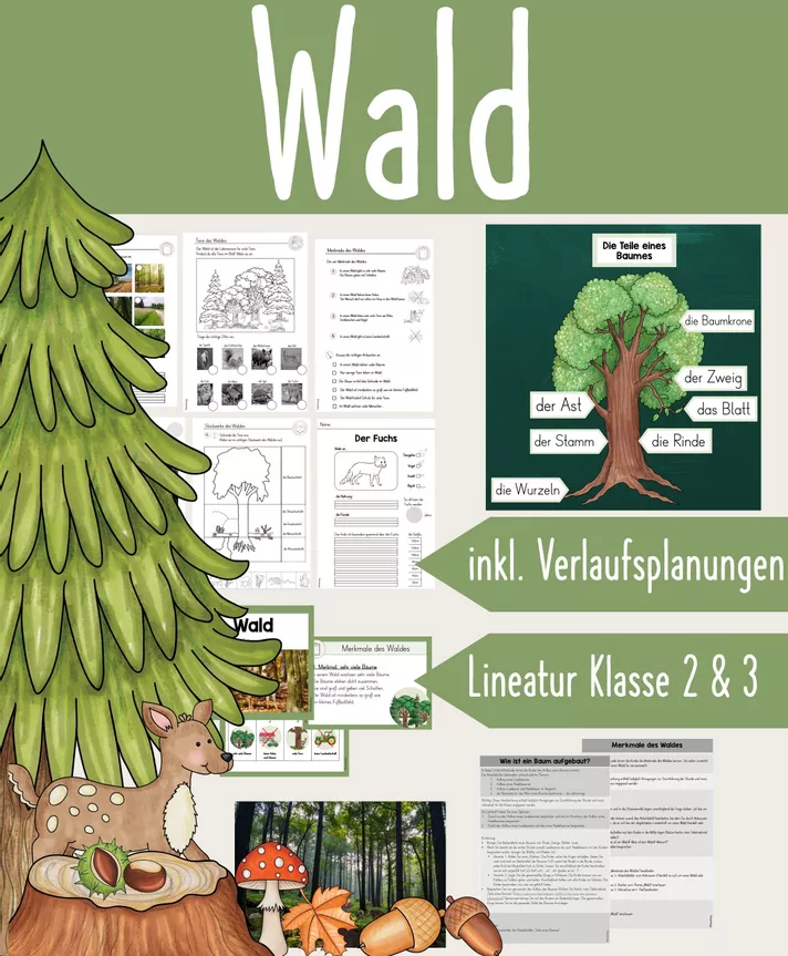 Bild in der Beschreibung des Unterrichtsmaterials Wald - GESAMTPAKET - Klasse 2/3 - differenziert (inkl. Stundenentwürfe) von FreuleinBerg #2