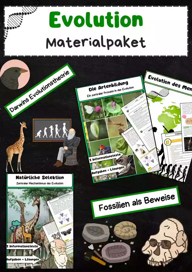 Evolution Materialpaket – Unterrichtsmaterial im Fach Biologie