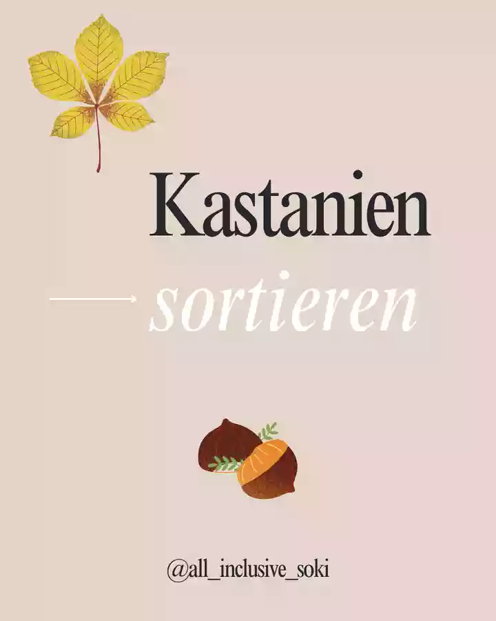 Materialpaket: Kastanien sortieren 6er, 10er und 30er Karton Stationenlernen - Materialpaket: Kastanien sortieren 6er, 10er und 30er Karton - inklusive Elementarpädagogin - Deckblatt