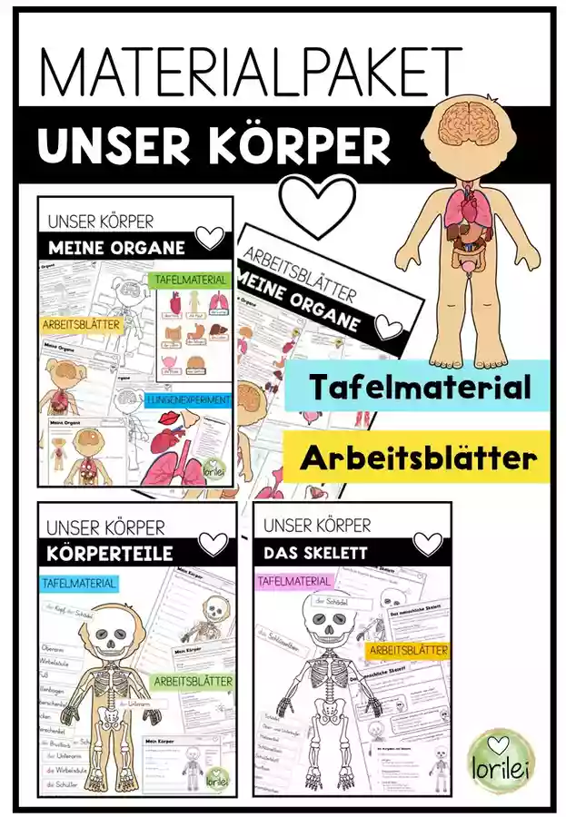 Unser Körper - Materialpaket | Sachunterricht (Körperteile · Organe ...