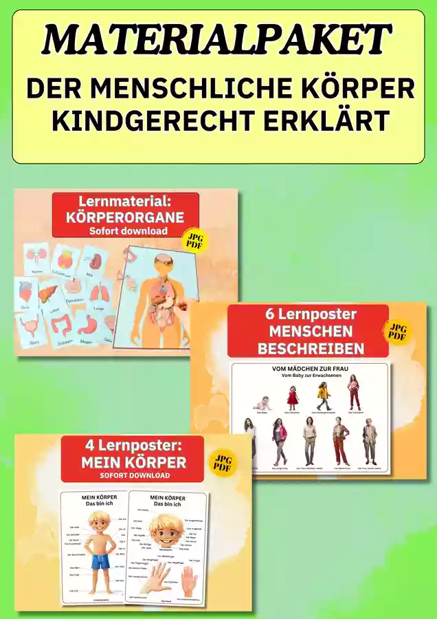 Materialpaket Menschlicher Körper – Entwicklung, Organe & Körperformen ...