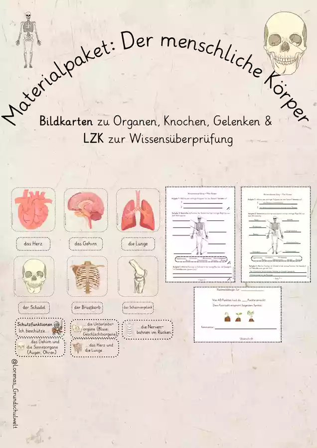 Materialpaket menschlicher Körper (Bildkarten & LZK ...