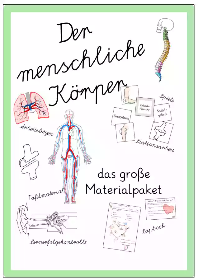 Der menschliche Körper das große Materialpaket – Unterrichtsmaterial im ...