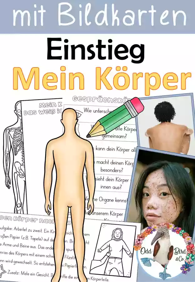 Mein Körper - Einstieg mit Bildkarten und Aktivität ...