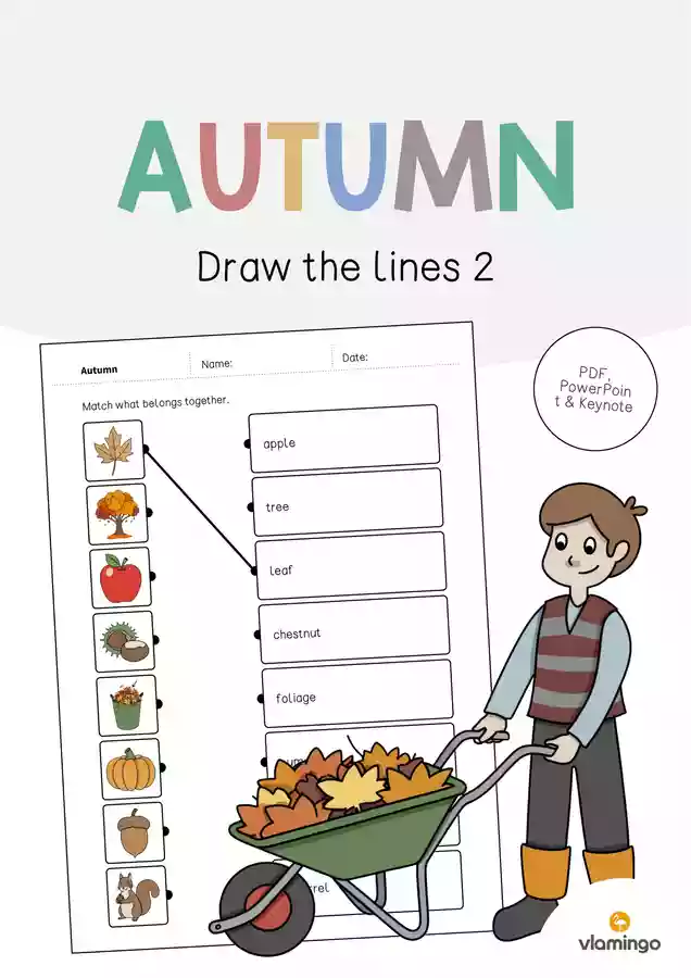 Autumn / Automne: Draw the lines 2 (Fiche d'exercices d'anglais ...