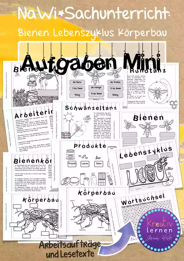Bienen - Lebenszyklus Aufgaben Mini Unterrichtsreihen - Bienen - Lebenszyklus Aufgaben Mini - kreativ lernen - Deckblatt