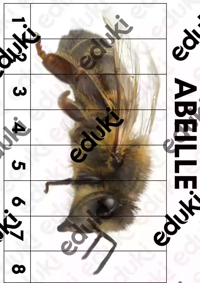 puzzle numération insectes - Ressource pédagogique pour ton cours de ...