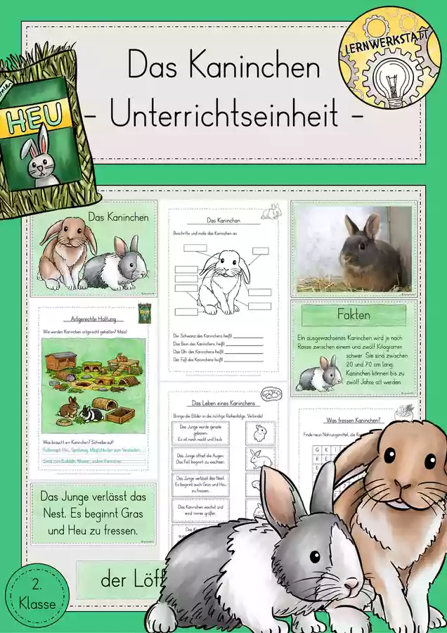 Kaninchen Wissenskartei Arbeitsbl tter Tafelmaterial Unterrichtseinheit kaninchen-wissenskartei-arbeitsbl-tter-tafelmaterial-unterrichtseinheit