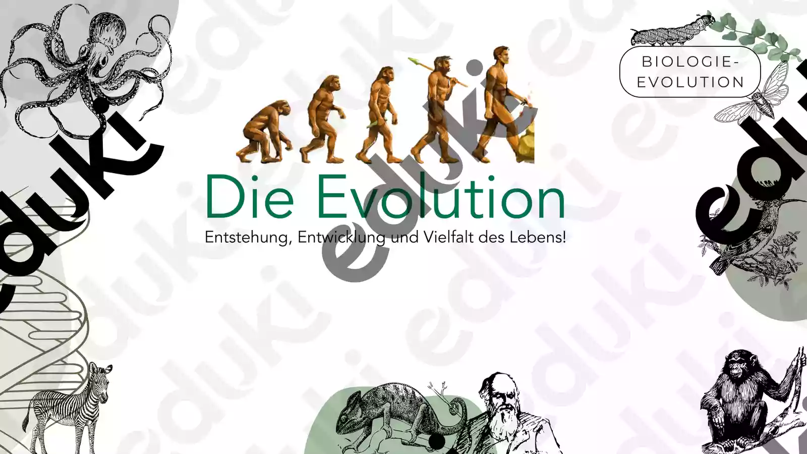 Evolution Anfangsfolie – Unterrichtsmaterial im Fach Biologie