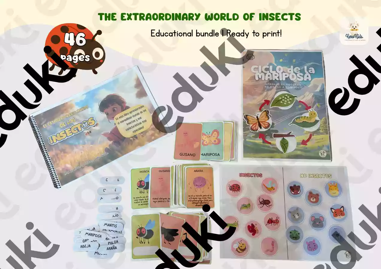 Insect Montessori Activities Printable Pack | Bug Matching Cards ...