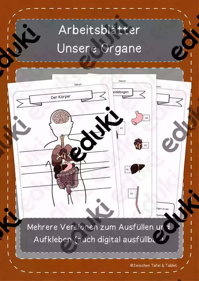 Unser Körper - Organe – Unterrichtsmaterial im Fach Biologie