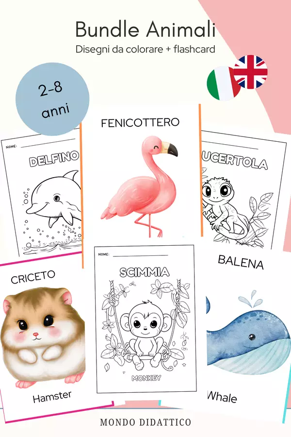 Kit bundle impara gli animali ITA-ENG Flashcard - Kit bundle impara gli animali ITA-ENG - Mondo Didattico - Pagina di copertina