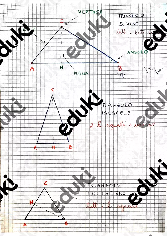 I triangoli e i quadrilateri Materiale di supporto/inclusione - I triangoli e i quadrilateri - Maestra Nunzia - Pagina di copertina