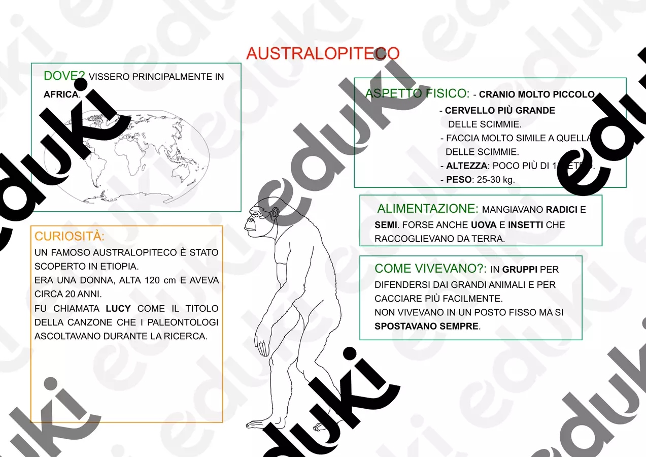 MAPPE SEMPLIFICATE SULL' EVOLUZIONE DELL' UOMO Materiale di supporto/inclusione - MAPPE SEMPLIFICATE SULL' EVOLUZIONE DELL' UOMO - semi_di_didattica - Pagina di copertina