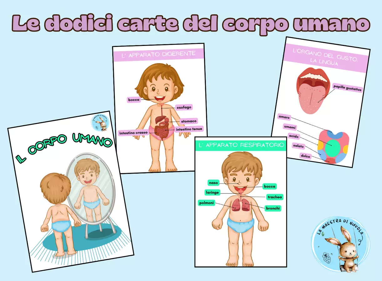Le carte del corpo umano Flashcard - Le carte del corpo umano - La maestra di Nuvola - Pagina di copertina