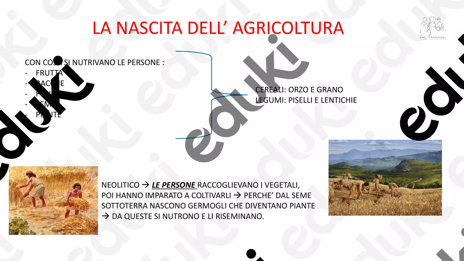 MAPPA- AGRICOLTURA NEL NEOLITICO Materiale di supporto/inclusione - MAPPA- AGRICOLTURA NEL NEOLITICO - la_treccia_di_noemi - Pagina di copertina