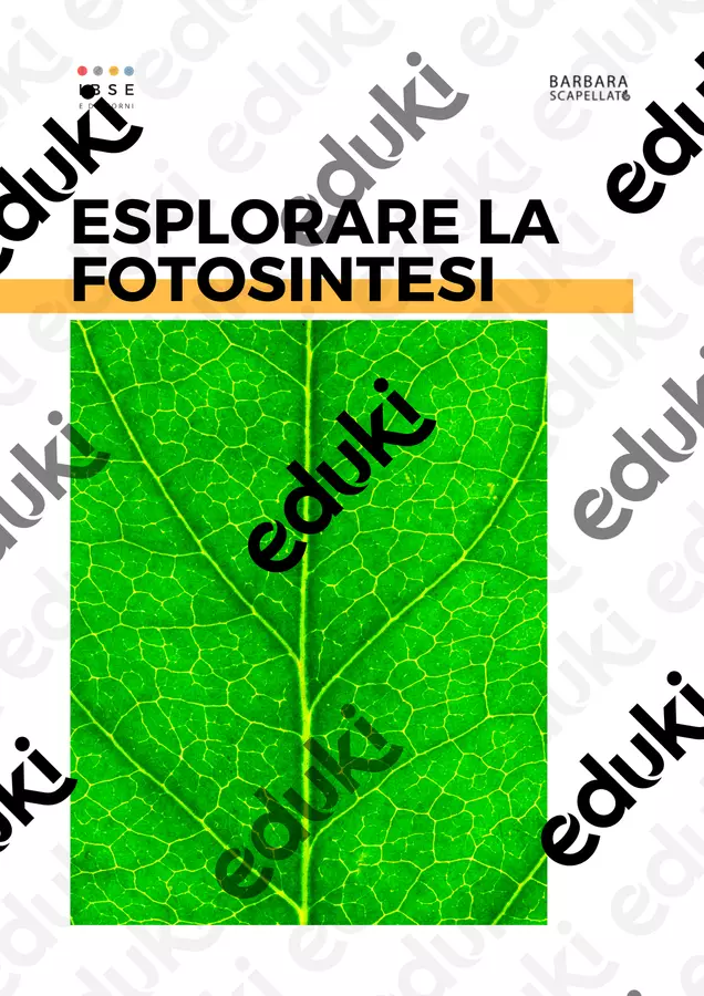 Esplorare la fotosintesi Esperimenti - Esplorare la fotosintesi - Barbara Scapellato - IBSE e dintorni - Pagina di copertina