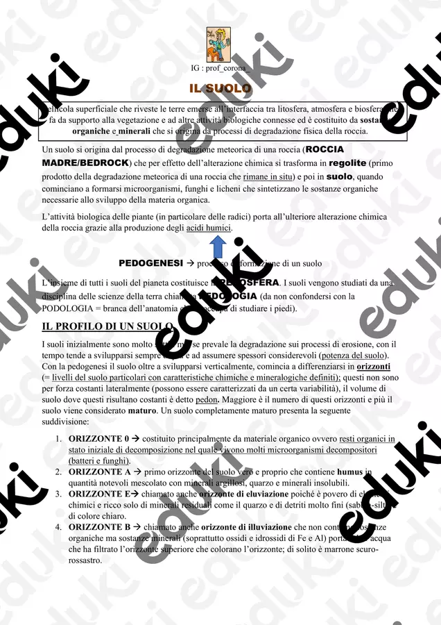 agenti esogeni - suolo - frane - riassunto Programmi scolastici / Materiali per docenti - agenti esogeni - suolo - frane - riassunto - Prof Luca Corona - Pagina di copertina