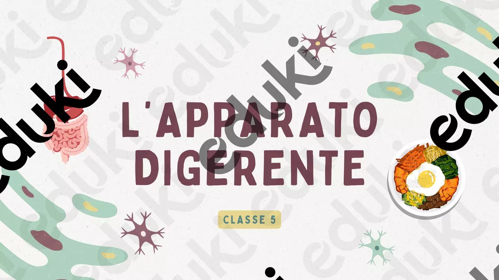 L’APPARATO DIGERENTE Esercizi - L’APPARATO DIGERENTE - Insegnare a scuola Zazza - Pagina di copertina
