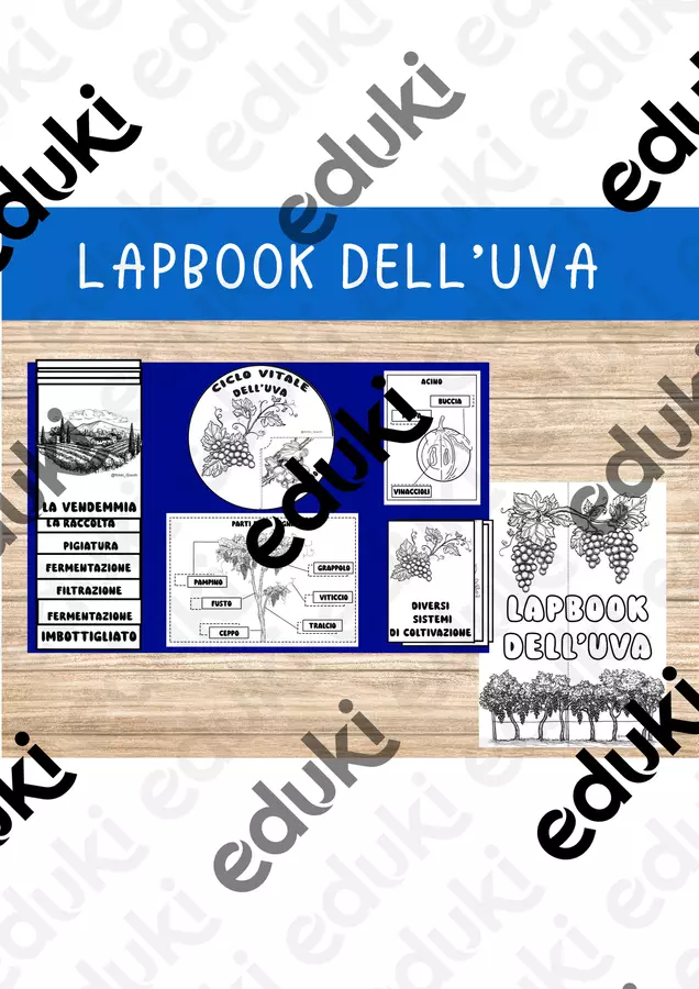 🍇 Lapbook dell’Uva Esercizi - 🍇 Lapbook dell’Uva - Nikki_Giochi - Pagina di copertina