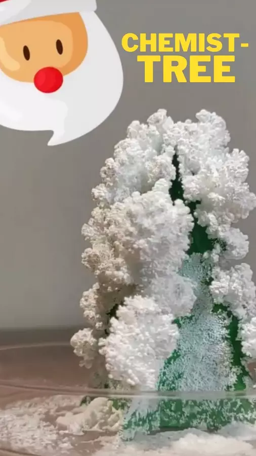 Costruici un alberello innevato usando la chimica: il chemis-tree Altro tipo di materiale - Costruici un alberello innevato usando la chimica: il chemis-tree - Scienzalcubo - Pagina di copertina