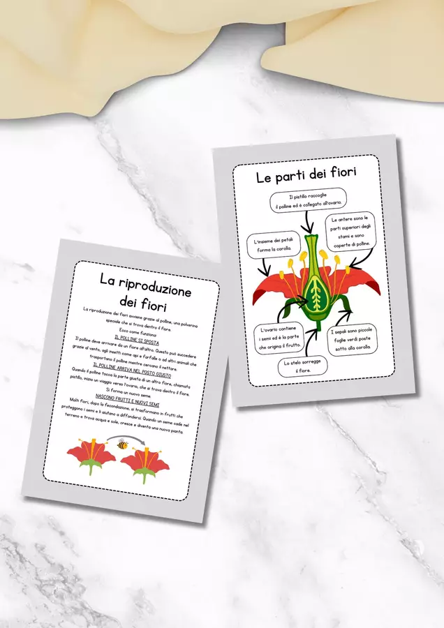 Schede didattiche fiori Esercizi - Schede didattiche fiori - MilleLibriPerBambini - Pagina di copertina