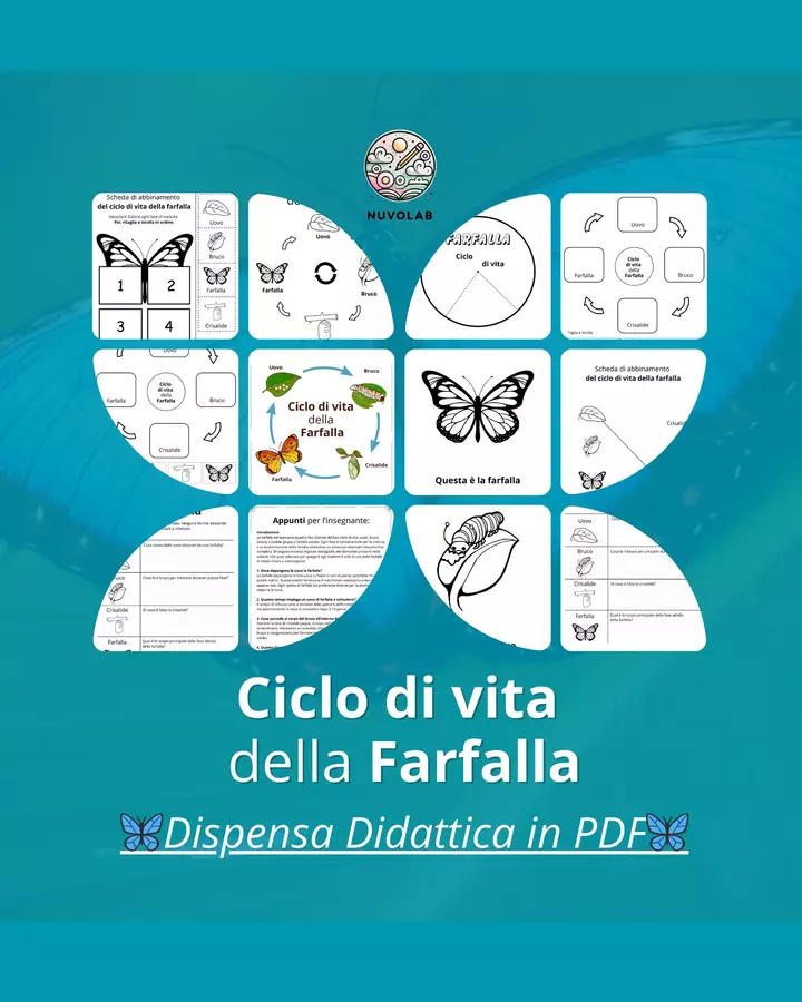 🦋 Ciclo di Vita della Farfalla - Dispensa Didattica in PDF Altro tipo di materiale - 🦋 Ciclo di Vita della Farfalla - Dispensa Didattica in PDF - NuvoLab - Pagina di copertina