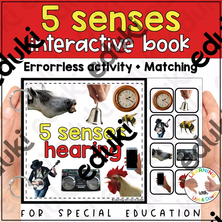 Montessori Five senses matching activity | Sense of Hearing adapted book SPED Flashcard - Montessori Five senses matching activity | Sense of Hearing adapted book SPED - Learning with Ups and Downs - Pagina di copertina