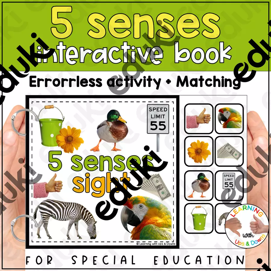 Montessori Five senses matching activity | Sense of Sight adapted book SPED Flashcard - Montessori Five senses matching activity | Sense of Sight adapted book SPED - Learning with Ups and Downs - Pagina di copertina