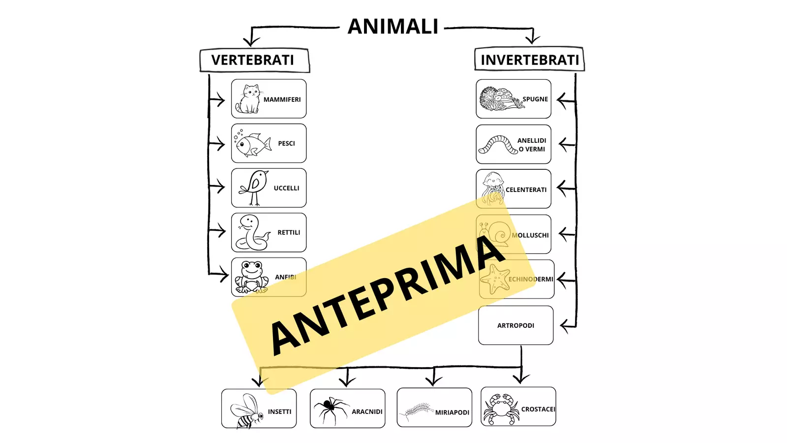 CLASSIFICAZIONE ANIMALI ANTEPRIMA Mappe concettuali - CLASSIFICAZIONE ANIMALI ANTEPRIMA - Una scuola a colori - Pagina di copertina