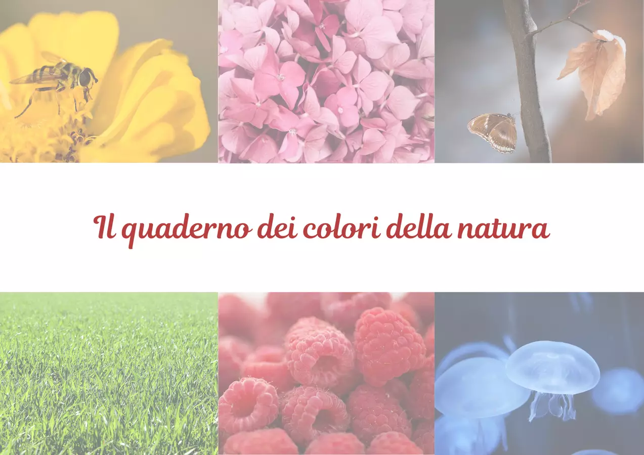 Il quaderno dei colori della natura Flashcard - Il quaderno dei colori della natura - Ilaria.pedagolab - Pagina di copertina