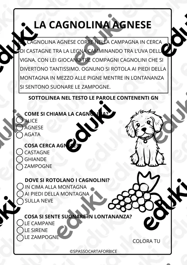 GRUPPO GN BREVE TESTO + COMPRENSIONE Esercizi - GRUPPO GN BREVE TESTO + COMPRENSIONE - Spassocartaforbice - Pagina di copertina