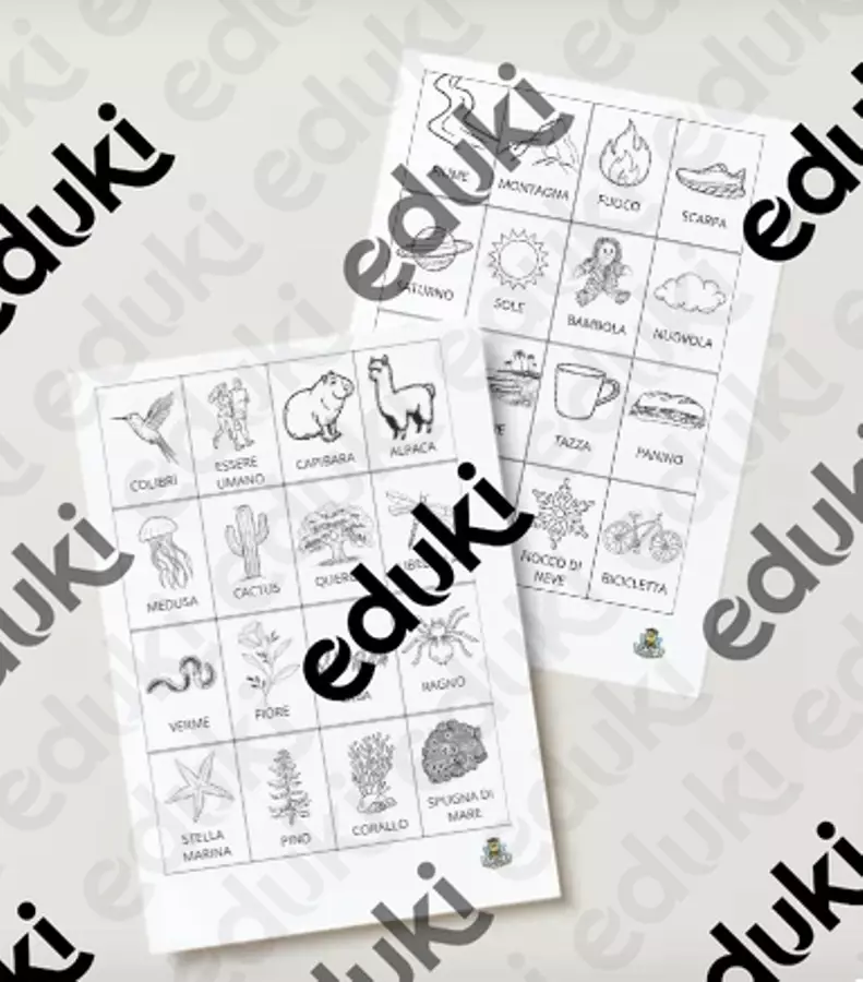 CARTE ESSERI VIVENTI E NON VIVENTI Materiale di supporto/inclusione - CARTE ESSERI VIVENTI E NON VIVENTI - TeacherBee - Pagina di copertina