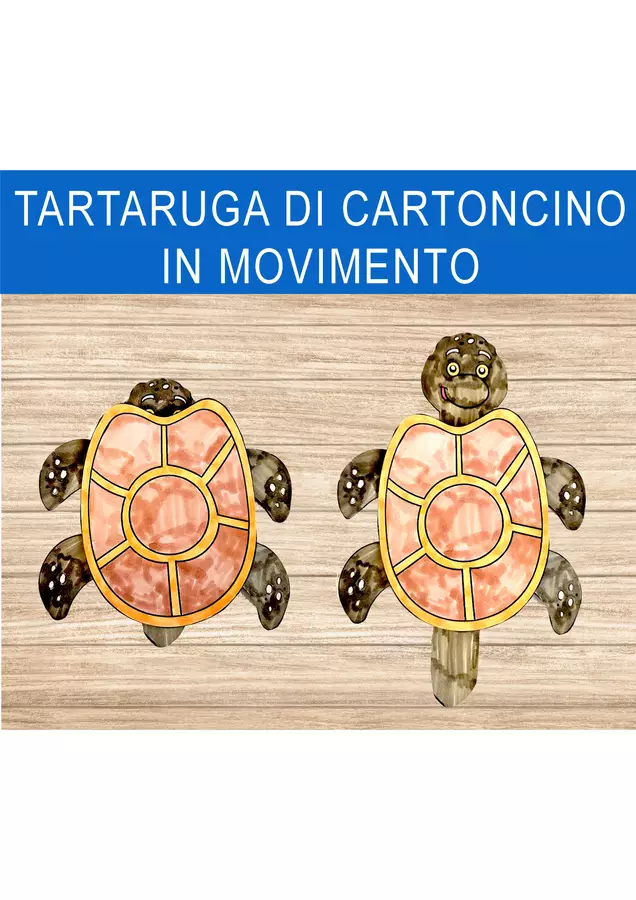 Tartaruga anteprima Materiale interattivo - Tartaruga anteprima - Nikki_Giochi - Pagina di copertina