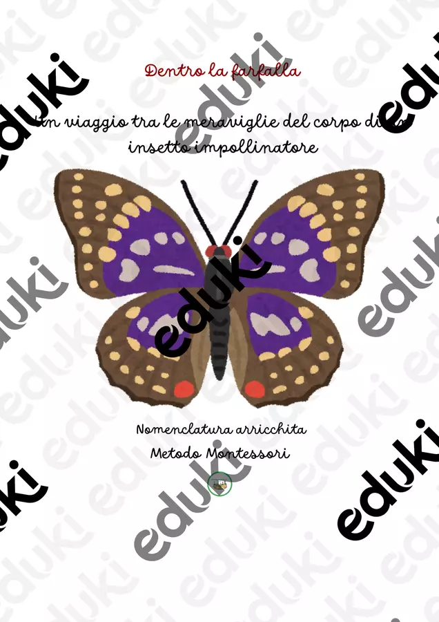 Dentro la farfalla; viaggio tra le meraviglie del corpo di un insetto impollinatore-nomenclatura arricchita Altro tipo di materiale - Dentro la farfalla; viaggio tra le meraviglie del corpo di un insetto impollinatore-nomenclatura arricchita - montessorianamentelucca - Pagina di copertina