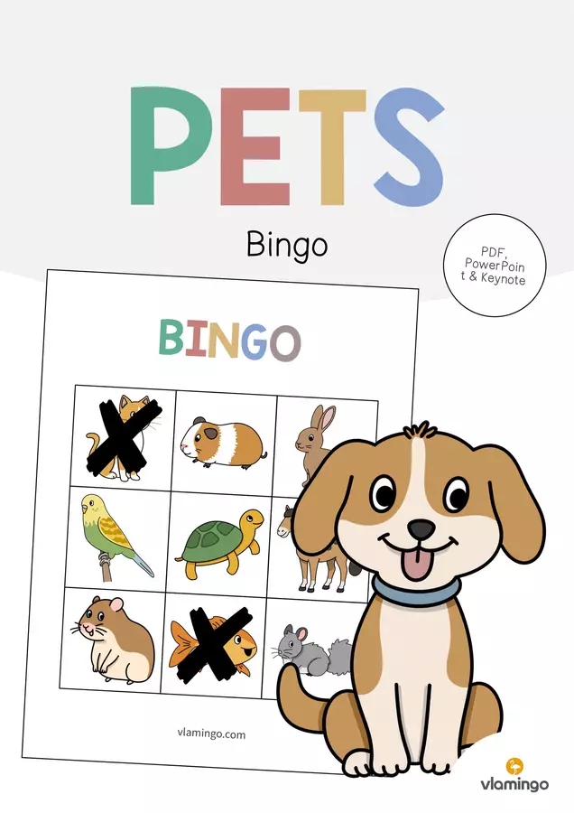 Pets / Animali domestici: Bingo (Gioco per la lezione d'inglese) Flashcard - Pets / Animali domestici: Bingo (Gioco per la lezione d'inglese) - vlamingo - Pagina di copertina