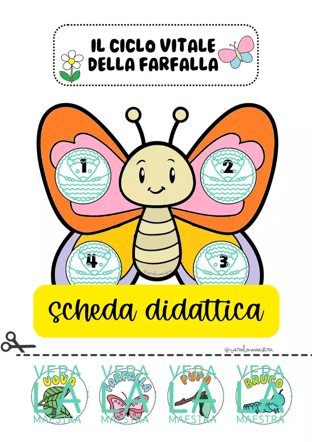 IL CICLO DI VITA DELLA FARFALLA Materiale di supporto/inclusione - IL CICLO DI VITA DELLA FARFALLA - Vera La Maestra - Pagina di copertina