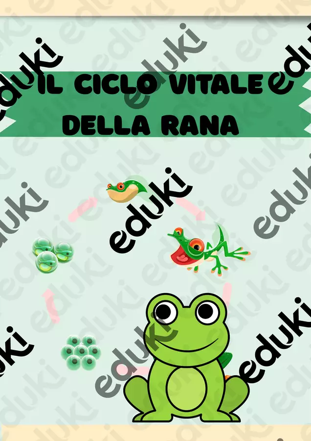 Il Ciclo Vitale della Rana Materiale di supporto/inclusione - Il Ciclo Vitale della Rana - SostegnO 2.0 - Pagina di copertina