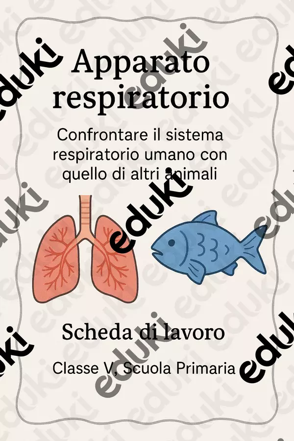 Confrontare il sistema respiratorio umano con quello di altri animali - SL Schede informative - Confrontare il sistema respiratorio umano con quello di altri animali - SL - Scienza Magica - Pagina di copertina