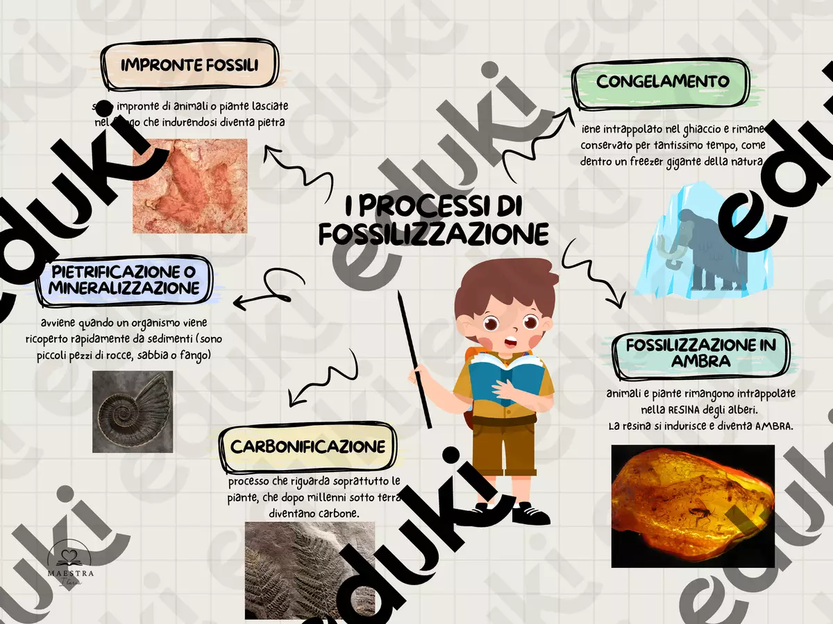 MAPPA FOSSILIZZAZIONE con Capitan Curiosus Materiale di supporto/inclusione - MAPPA FOSSILIZZAZIONE con Capitan Curiosus - maestra.ilaria - Pagina di copertina
