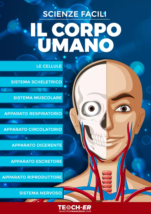 Scienze Facili - Il Corpo Umano Materiale di supporto/inclusione - Scienze Facili - Il Corpo Umano - Maestro Francesco - Pagina di copertina