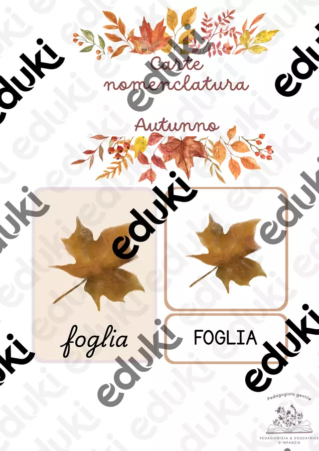 Carte nomenclatura montessoriana - Autunno Programmi scolastici / Materiali per docenti - Carte nomenclatura montessoriana - Autunno - Pedagogista gentile - Pagina di copertina