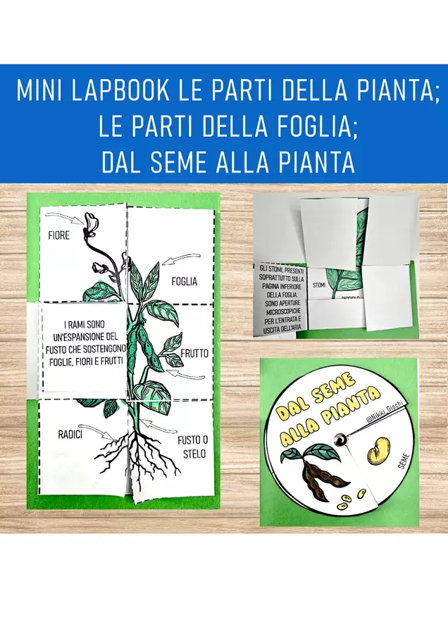 🌱 Mini Lapbook: Alla scoperta delle piante! Esercizi - 🌱 Mini Lapbook: Alla scoperta delle piante! - Nikki_Giochi - Pagina di copertina