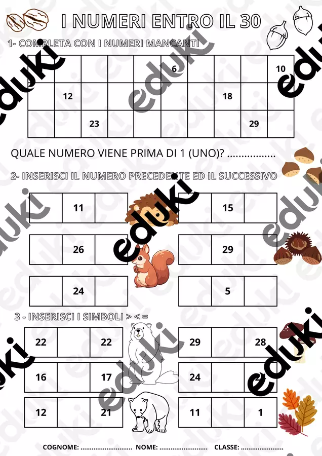I NUMERI ENTRO IL 30 Esercizi - I NUMERI ENTRO IL 30 - Lucia Durante - Pagina di copertina