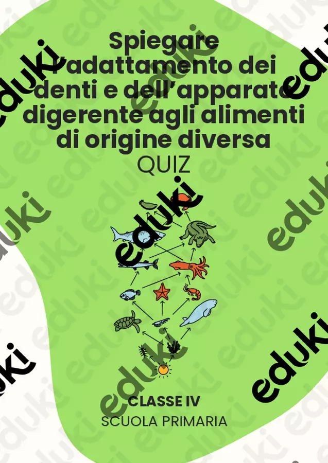 Spiegare l’adattamento dei denti e dell’apparato digerente agli alimenti di origine diversa Quiz - Spiegare l’adattamento dei denti e dell’apparato digerente agli alimenti di origine diversa - Scienza Magica - Pagina di copertina