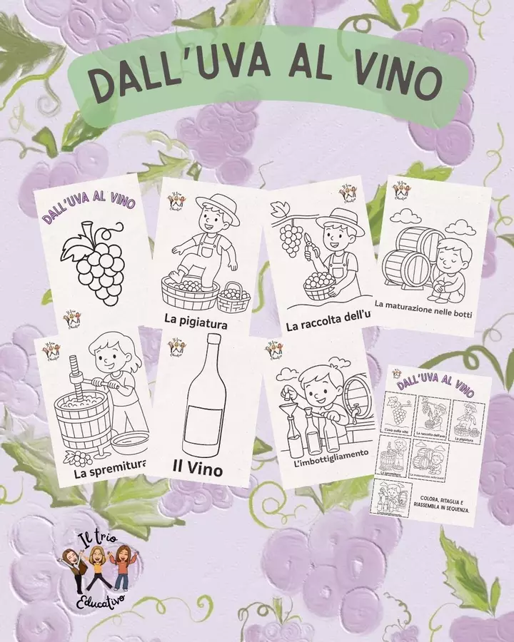 Dall'uva al vino Programmi scolastici / Materiali per docenti - Dall'uva al vino - TrioEducativo - Pagina di copertina